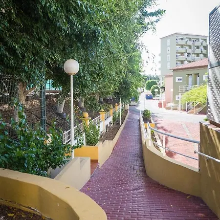 Apartment Orlando Tenerife Sur Mikey And Daisy Costa Adeje (Tenerife)