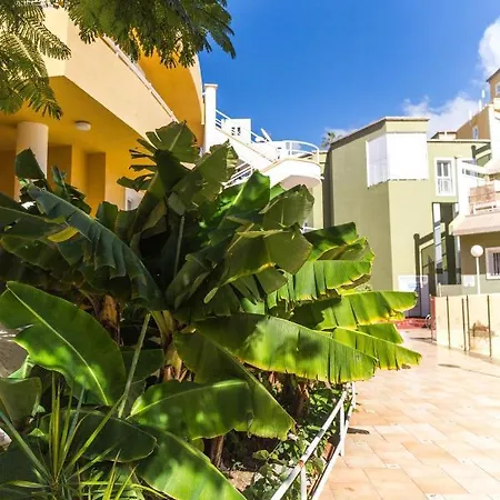 Apartment Orlando Tenerife Sur Mikey And Daisy *